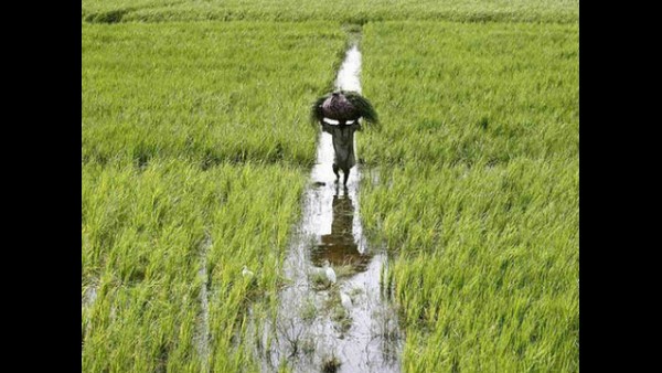 ಯಾವುದಕ್ಕೆ ಈ ಗಂಗಾ ಕಲ್ಯಾಣ ಯೋಜನೆ 