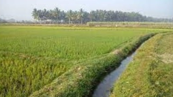 ರೈತರ ಭೂಮಿಗೆ ನದಿ ಮತ್ತು ನಾಲೆಗಳಿಂದ ನೀರಾವರಿ ಸೌಲಭ್ಯ 