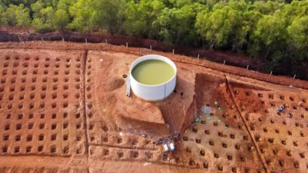 ಭವಿಷ್ಯದ ದೃಷ್ಟಿಯಿಂದ ಆಲೋಚನೆ