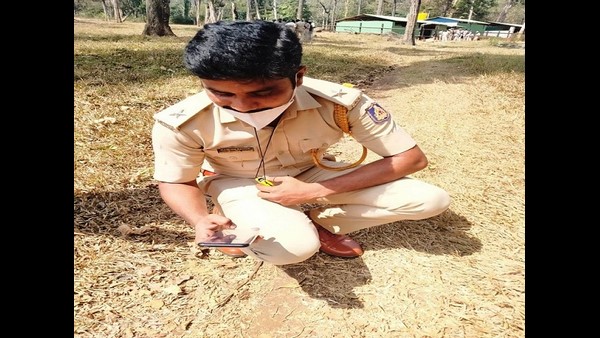 ಹುಲಿ ಯೋಜನೆ ನಿರ್ದೇಶಕರು ಹೇಳಿದ್ದೇನು?