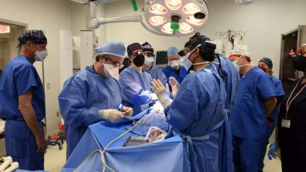 Pig Heart Implant In US Man Holds Out Hope For Organ Crisis