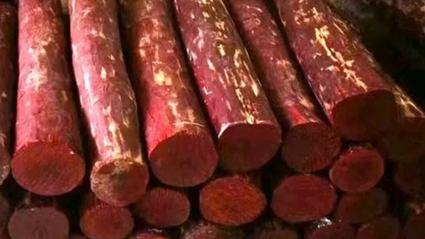 Bengaluru: Two Head Constable suspended in duty omission of Red Sandal Smuggling 