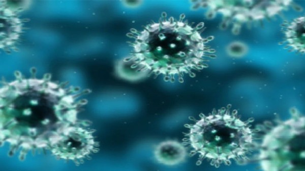 ಓಮಿಕ್ರಾನ್ ರೂಪಾಂತರದಲ್ಲಿರುವ ಉಪ ತಳಿಗಳು? 