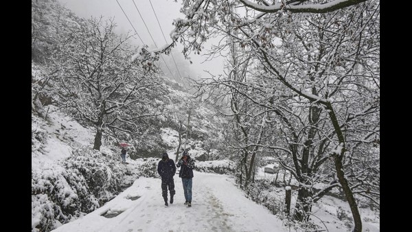 karnataka weather report on 26 january: heavy cold in the morning, cold air in the evening