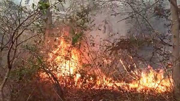 Forest Department To Use Drone Camera To Control Fire Accident 