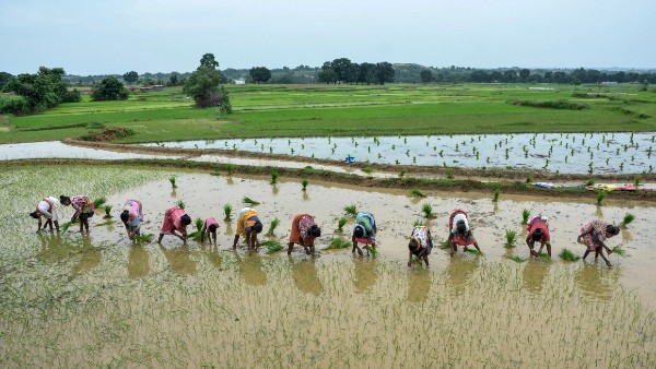 ಗಣತಿ ನಡೆಸಿ ನಿವೇಶನ 