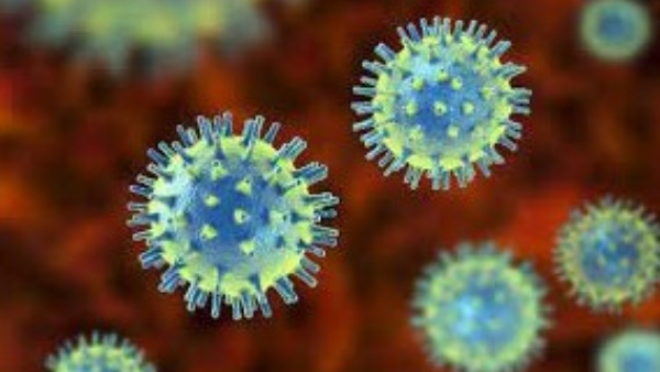  ಈ ವಿನಾಶಕಾರಿ ಕೋವಿಡ್ ಅನ್ನು ಎಲ್ಲಾ ಸೇರಿ ಹರಡಿಸಬೇಡಿ