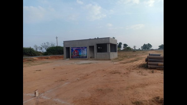 ಬೂದಿಗೆರೆ ಗ್ರಾಮದಲ್ಲೇ ಅತೀ ಹೆಚ್ಚು ಬೂದಿಗೆರೆ ಗ್ರಾಮದಲ್ಲೇ ಅತೀ ಹೆಚ್ಚು