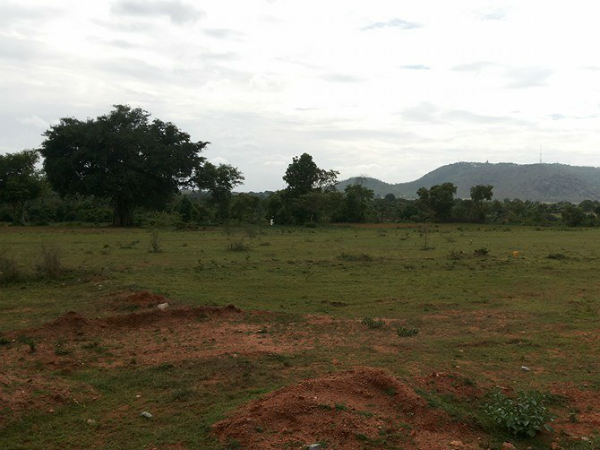 NGO Condemn Govt Sub-Committee to Ease Leasing of Grazing Land 