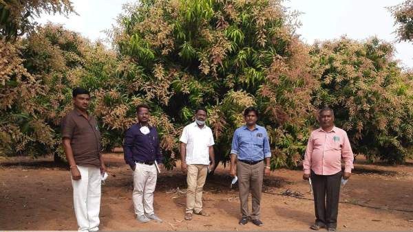 ಕೀಟಗಳ ನಿಯಂತ್ರಣಕ್ಕೆ ಕ್ರಮ