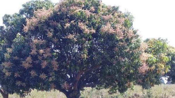 3 ಕೋಟಿಗೂ ಹೆಚ್ಚು ಬೆಳೆ ಪರಿಹಾರ