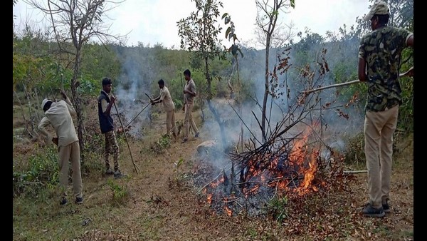 ಅಗ್ನಿಶಾಮಕ ಇಲಾಖೆ ಅಧಿಕಾರಿಗಳಿಂದ ತರಬೇತಿ ಅಗ್ನಿಶಾಮಕ ಇಲಾಖೆ ಅಧಿಕಾರಿಗಳಿಂದ ತರಬೇತಿ