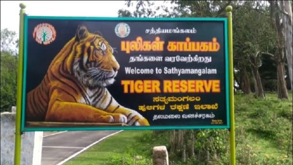 ಅರಣ್ಯಾಧಿಕಾರಿಗಳು ಜಾರಿ ಮಾಡಿರಲಿಲ್ಲ