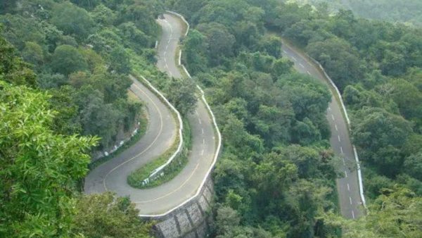 ಪ್ರಾಣಿಪ್ರಿಯರಲ್ಲಿ ಸಂತಸ