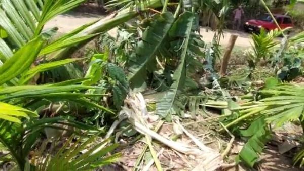 ಸರ್ಕಾರ ತೀರ್ಮಾನ ಮಾಡಲಿ