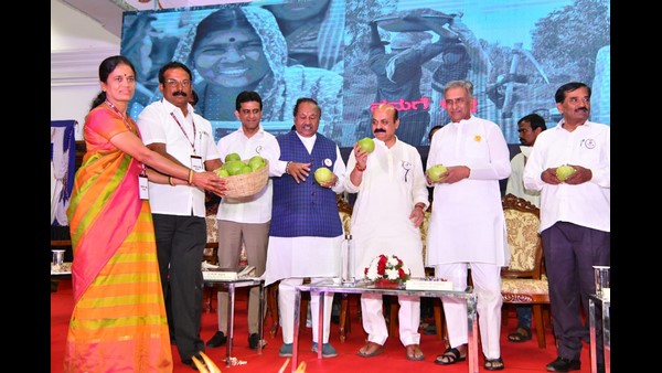 ಶಾಲೆಗಳ ದುರಸ್ತಿಗೆ ನರೇಗಾ ಶಾಲೆಗಳ ದುರಸ್ತಿಗೆ ನರೇಗಾ