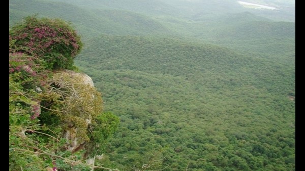  ರಥೋತ್ಸವದಲ್ಲಿ ಸಂಭ್ರಮಿಸಲು ತಯಾರಿ