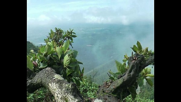  ಪ್ರವಾಸೋದ್ಯಮವನ್ನು ನೆಚ್ಚಿಕೊಂಡಿರುವ ಹಲವು ಕುಟುಂಬಗಳು
