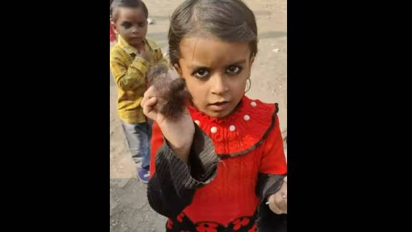 ವಿಗ್ ತಯಾರಿಸಲು ಕೂದಲು ಮಾರಾಟ 