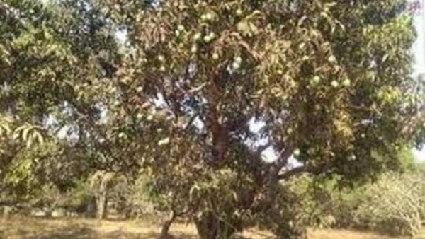 ತೋಟಗಾರಿಕಾ ಇಲಾಖೆ ಅಧಿಕಾರಿಗಳು