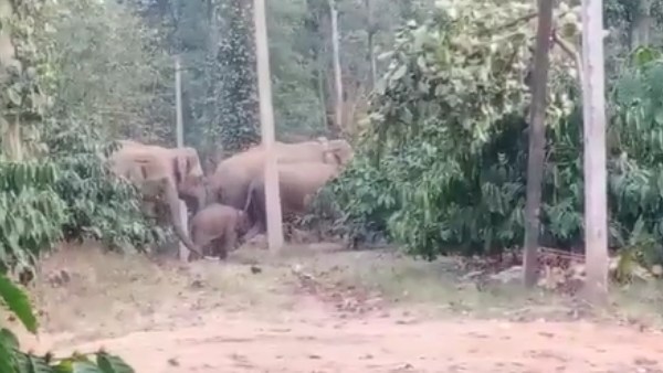 ಕಾರ್ಮಿಕರು ಕೆಲಸಕ್ಕೆ ಬರುತ್ತಿಲ್ಲ