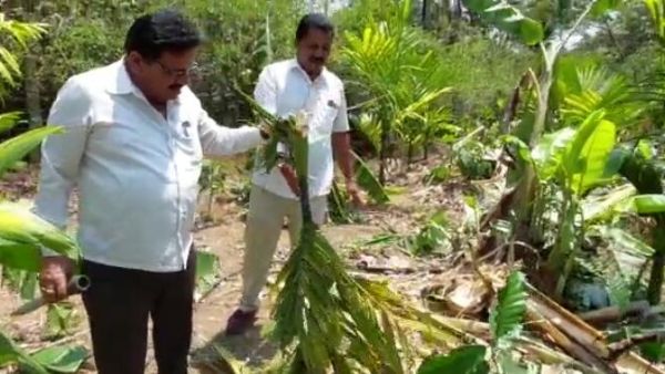 ಅರಣ್ಯ ಇಲಾಖೆ ಕಾರ್ಯಾಚರಣೆ ಮಾಡಲಿ