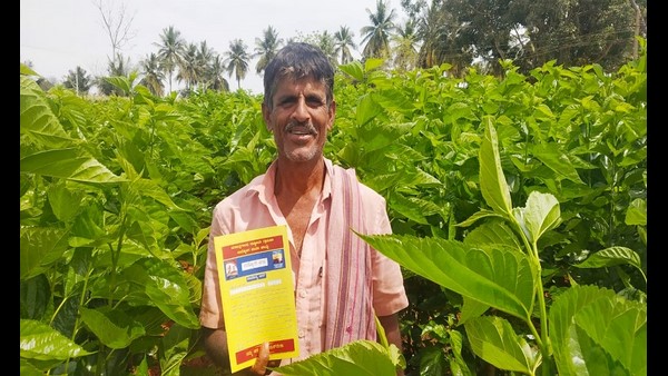  ರೇಷ್ಮೆ ಬೆಳೆದವರು ಹೇಳುವುದೇನು?