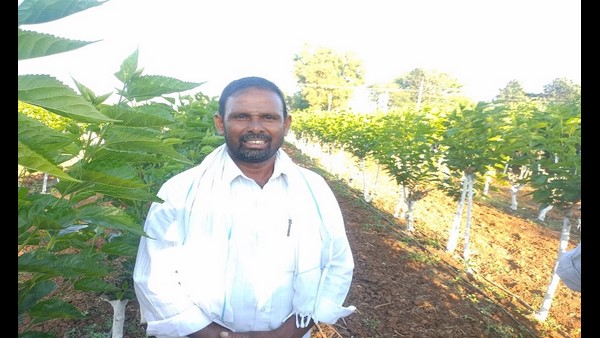  ರೈತರಿಗೆ ಜಿಪಂ ಸಿಇಒ ಸಲಹೆ