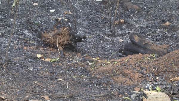 ಬೆಂಕಿ ನಂದಿಸಲು ಸಾಧ್ಯವಾಗುತ್ತಿಲ್ಲ