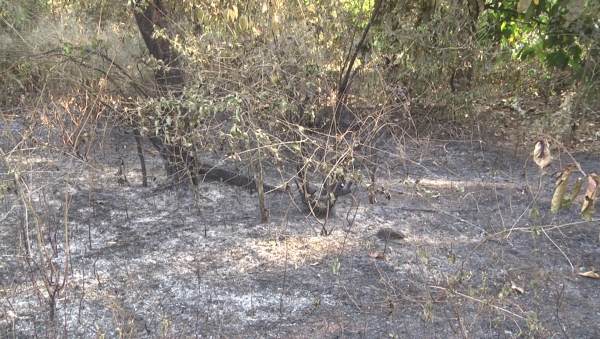 ಸ್ವಾಭಾವಿಕವಾಗಿ ಬೆಂಕಿ ಬೀಳುವುದಿಲ್ಲ