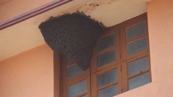 ಅಧಿಕಾರಿಗಳು ಶಾಲೆಗೆ ದೌಡು