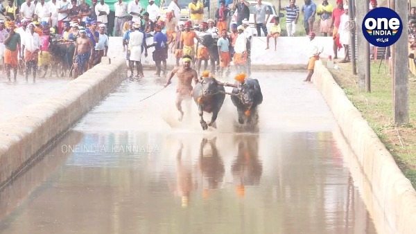 ಮಂಗಳೂರು ಕಂಬಳ ಫಲಿತಾಂಶ