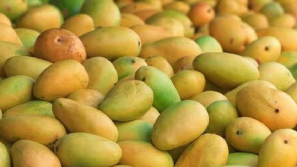 120 ಕೋಟಿಗೂ ಹೆಚ್ಚು ನಷ್ಟ