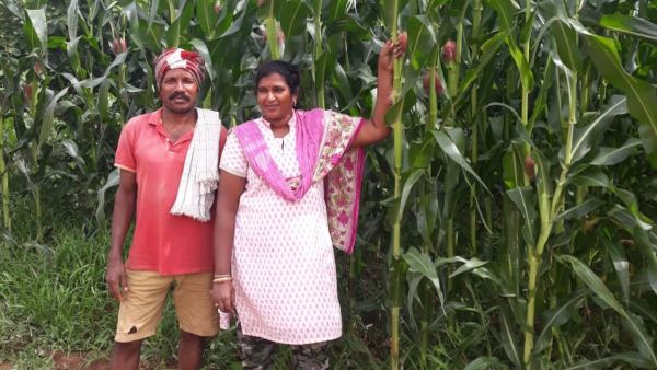 ರೈತರಿಗೆ ಸಹಾಯ ಮಾಡುತ್ತಾರೆ