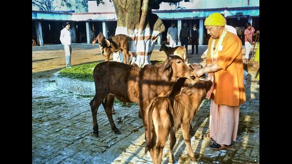  37 ವರ್ಷಗಳ ನಂತರ ಸರ್ಕಾರ ಪುನರಾವರ್ತನೆ