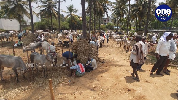  ಸಿಕ್ಕ ಸಿಕ್ಕ ಬಯಲು ಪ್ರದೇಶದಲ್ಲೆ ಶೌಚಾಲಯ