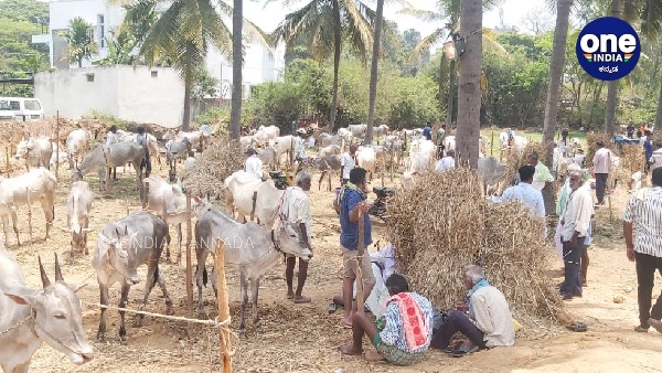  ಒಂದು ವಾರಗಳ ಕಾಲ ಪೌರಾಣಿಕ ನಾಟಕ ಪ್ರದರ್ಶನ