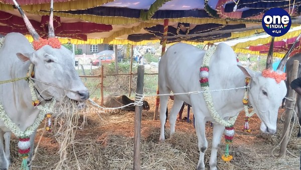  ಮಾಗಡಿ ತಹಶೀಲ್ದಾರ್ ಪ್ರತಿಕ್ರಿಯೆ