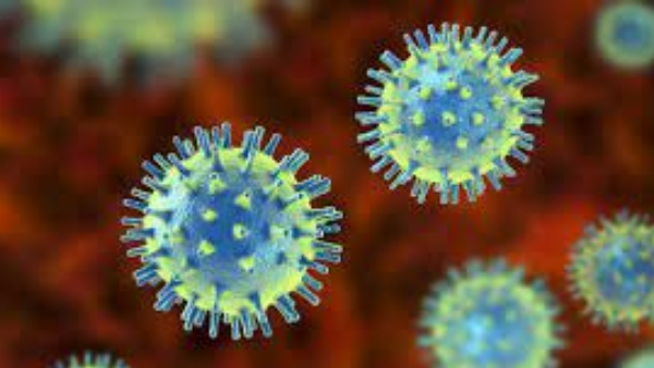 Covid 4th wave : BBMP alert 10 wards in Danger zone