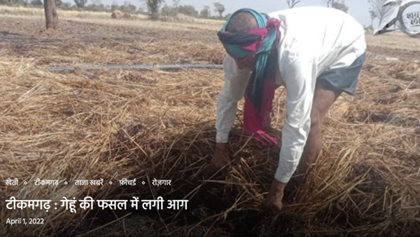 Oscar nominated Indian Documenatary Writing With Fire- review