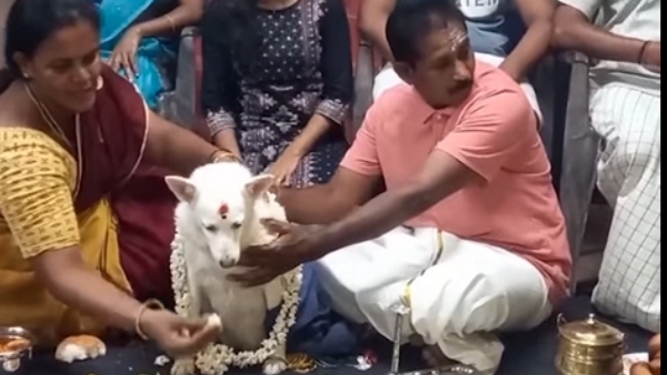Tamil Nadu Family Organises Baby Shower For Pet Dog