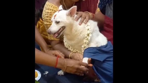 Tamil Nadu Family Organises Baby Shower For Pet Dog