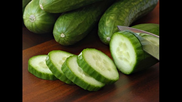  ಔಷಧೀಯ ಗುಣಗಳ ಆಗರ