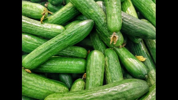  ಶುಚಿತ್ವಕ್ಕೆ ಆದ್ಯತೆ ನೀಡಬೇಕು