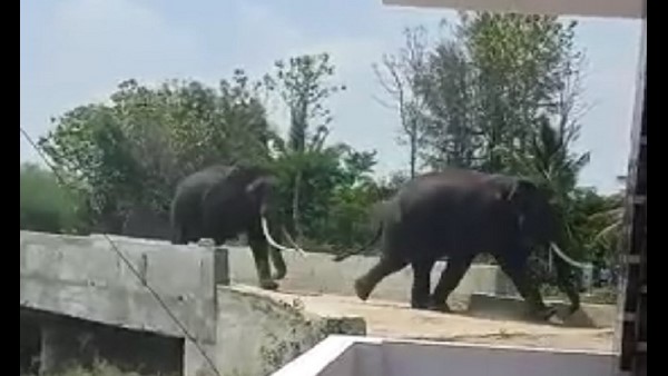  ಮತ್ತೆ ಯಾವಾಗ ಬೇಕಾದರೂ ಬರಬಹುದು