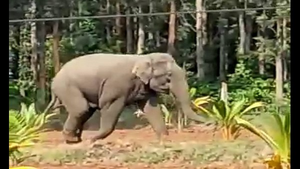  ಶಾಶ್ವತ ಪರಿಹಾರ ಕ್ರಮಕ್ಕೆ ರೈತರ ಆಗ್ರಹ