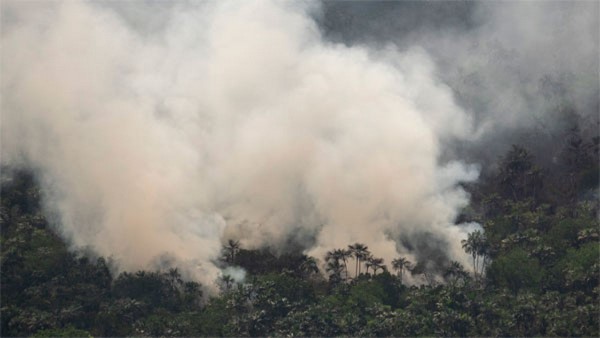 This forest is guarded by God reads A Banner in Chikkamagaluru