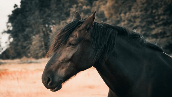 5 ಲಕ್ಷ ಗಳಿಸುವ ಆಸೆಯಿಂದ 22 ಲಕ್ಷ ಹೋಯಿತು!