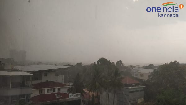 Bengaluru Rain: Fallen Trees and Flooded Streets