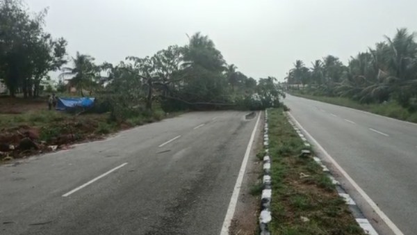 Heavy Rain In Various Districts Of Karnataka One Injured